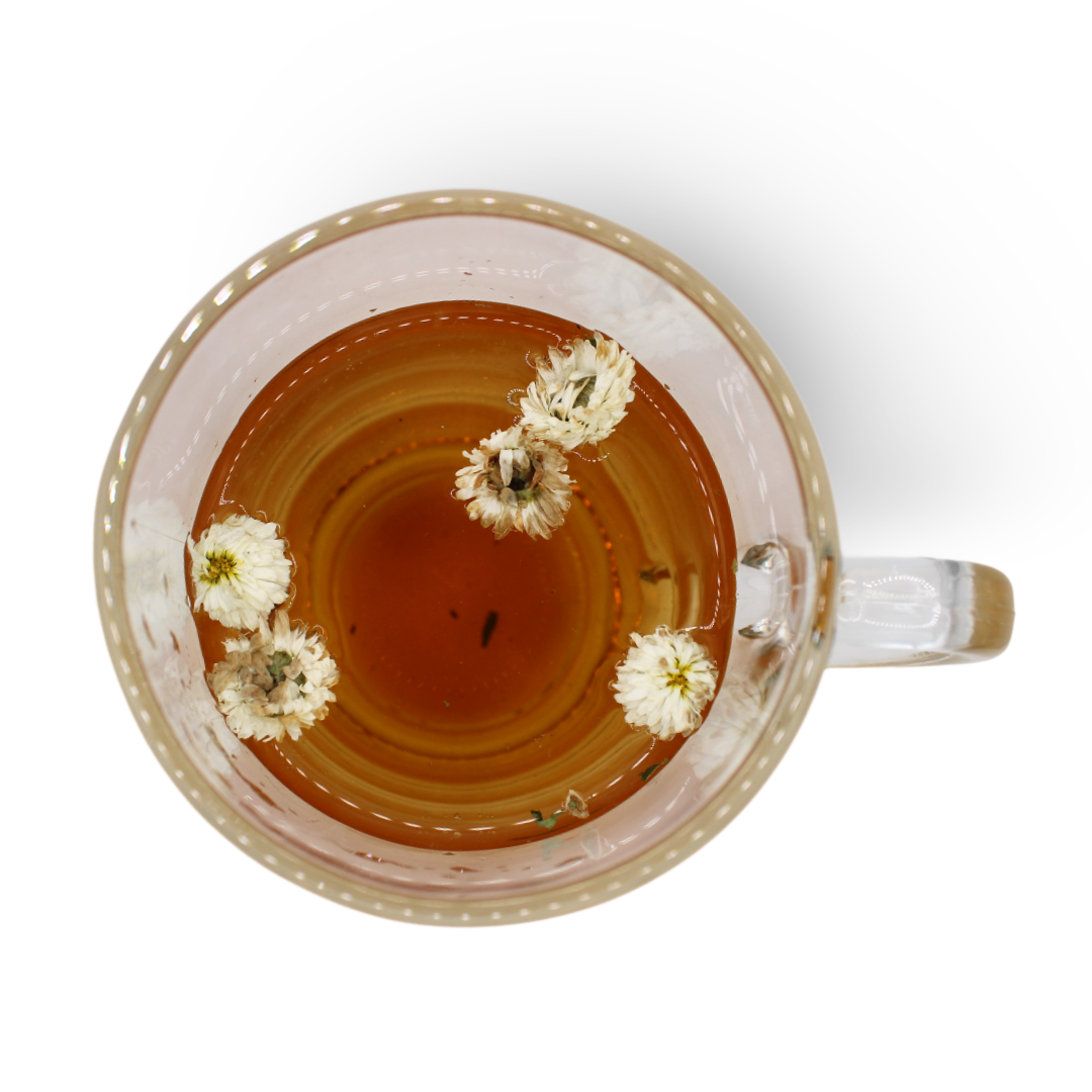 Camomille - Margeaubrac