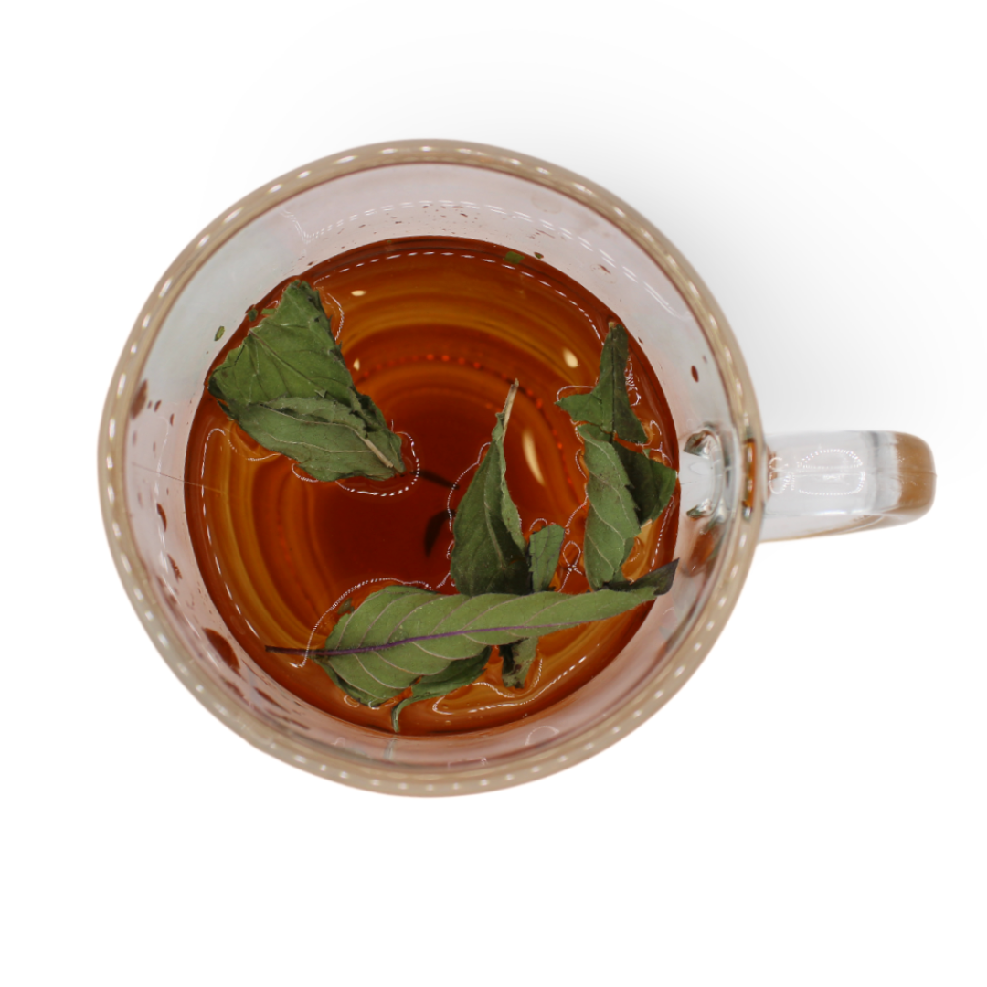 Menthe poivrée - Margeaubrac